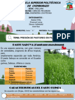 Exposición Praderas Grupo3