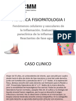 Práctica 2 Inflamacion Caso Clínico