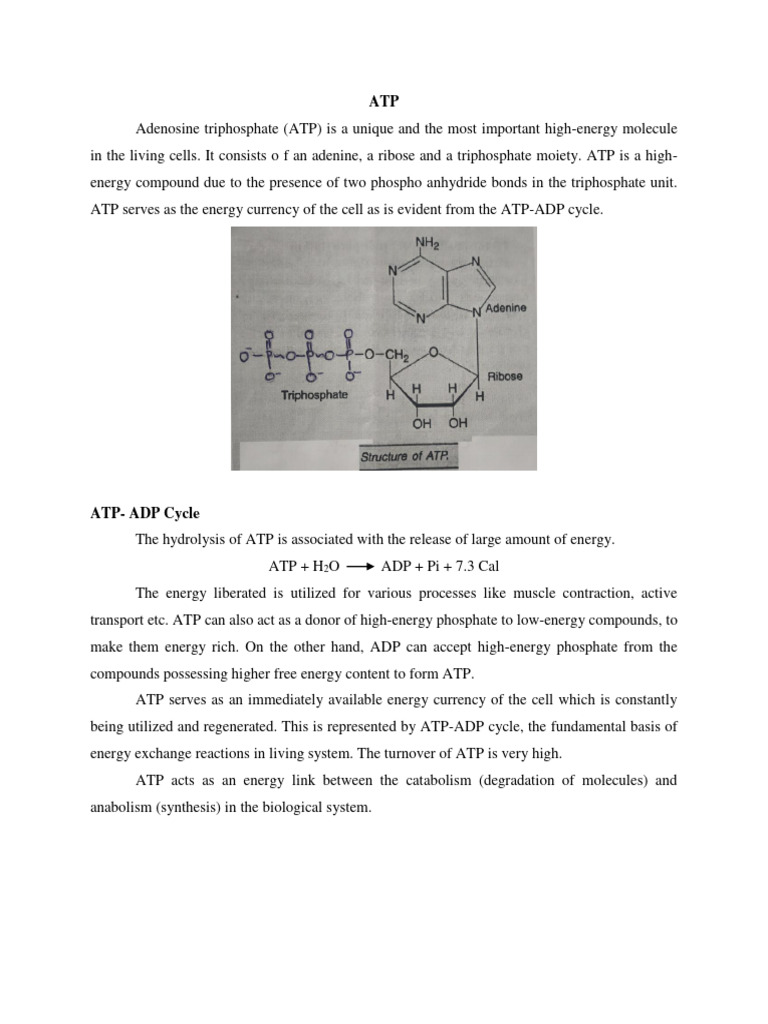 Mind Blowing Science Phosphofructokinases Adp Atp Dance - juhltd4