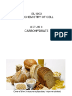 Chapter 1 Biochem (Carbo)