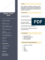 Curriculum Vitae