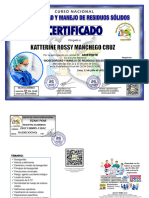Bioseguridad y Manejo de Residuos Solidos Katterine Rossy Manchego