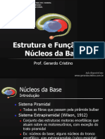 Estrutura e Funcao Dos Nucleos Da Base