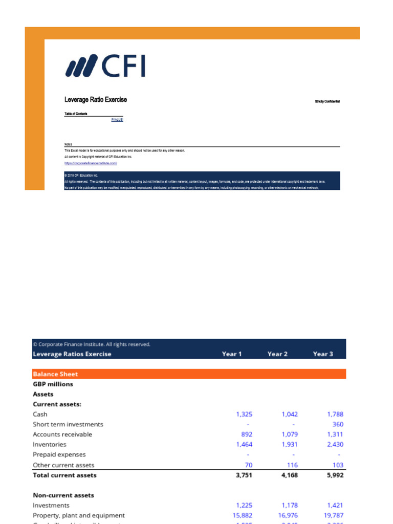 Leverage Ratio Exercise-1546993 | PDF | Equity (Finance) | Balance Sheet
