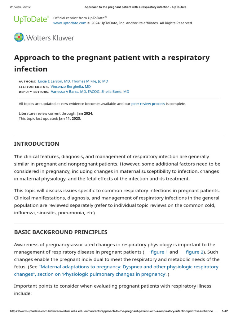 Thumbnail for Expecting Moms And Respiratory Health