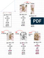 데이터 증강 가설