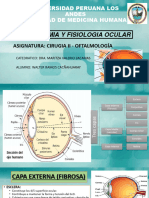 Anatomia y Fisiologia Ocular. WRC