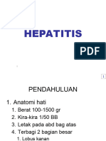 HEPATITIS VIRUS