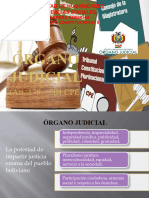 Tema No. 4 Organo Judicial