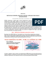 13 - Biologia - Rel, Golgi e Esocitosi