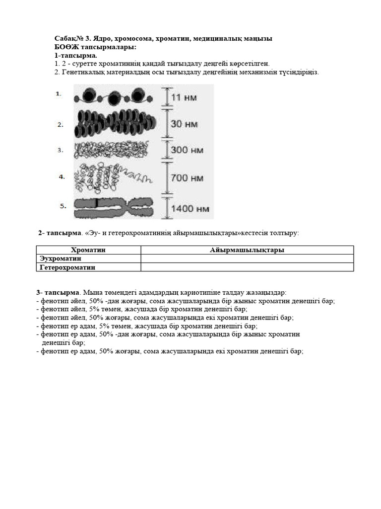 Екі адам бір суретте