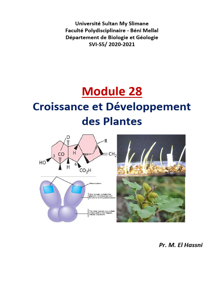 Croissance et Développement des Plantes | PDF | Maison et jardin ...