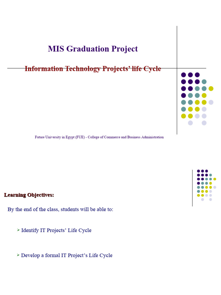 Usability Development Life Cycle Pdf