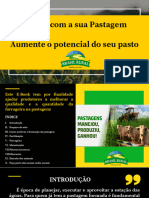 Aumente o Potencial Do Seu Pasto