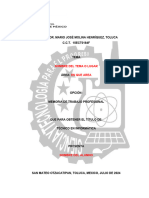 Memoria Trabajo Profesional 21-24