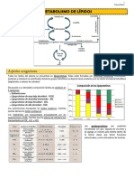 Química - Metabolismo de Lípidos