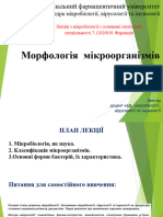 01 морфологія мікроорганізмів