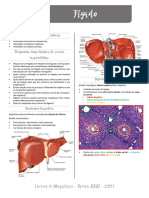 Patologia Hepática