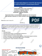 Л8 - Травлення білків та всмоктування амінокислот. Загальні шляхи перетворення амінокислот. Обмін амоніаку в органах і тканинах