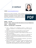 CV Sup. Ssoma - Arostegui Castillo Gina 2023
