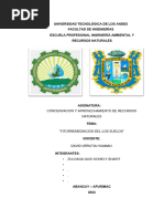 Fitorremediacion de Los Suelos