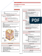 Lecture 9 Integumentary System