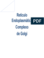 Aula Reticulo Endoplasmatico Complexo Golgi