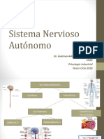 Sistema N. Autonomo-Enterico