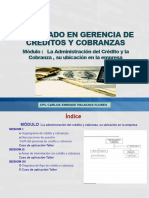 CCL Dip Gcia de Cyc Mod I La Adm Del Cyc Su Ubic 03 Sesiones +ti 110 Diap 160224