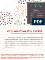 BAYANI Slideshow Project