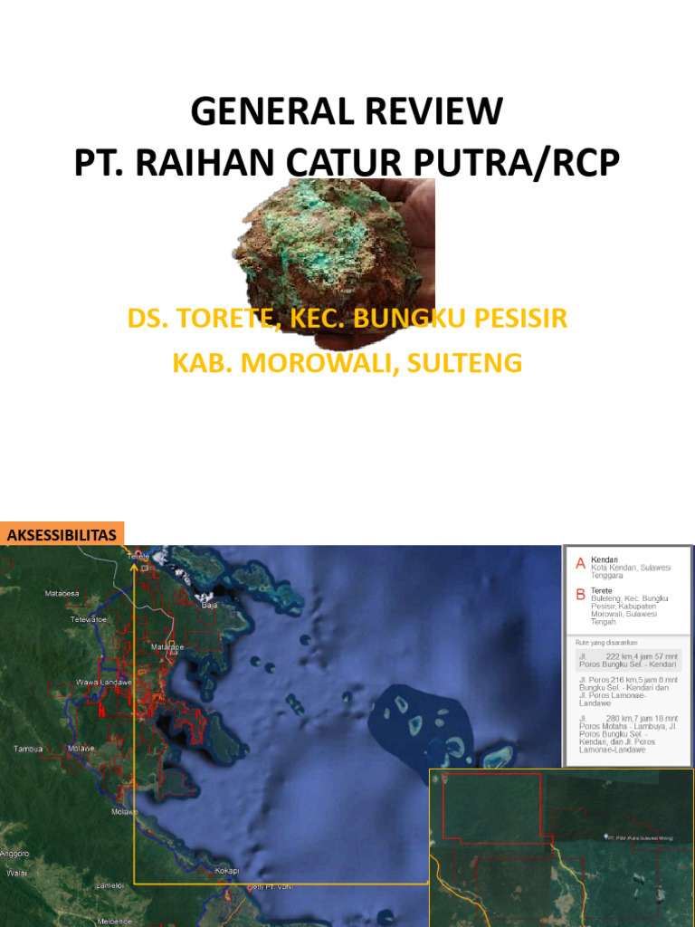 Tinjauan Umum PT Raihan Catur Putra | PDF