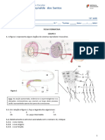 2 Ficha Formativa