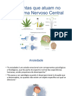 Plantas Utilizadas No SNC