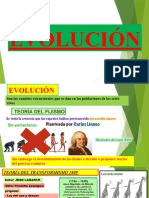 Evolución Algore 4to Sec