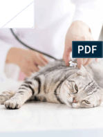TVP 2017 0304 - Feature - Fever in Cats - FORWEB