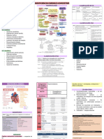 L L L L: Fisiopatología Clasificación de Fe