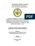 Universidad Nacional Hermilio Valdizán: Programa de Ciclo de Estudios Complementarios