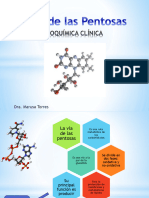 Diapositiva de Las Pentosas I