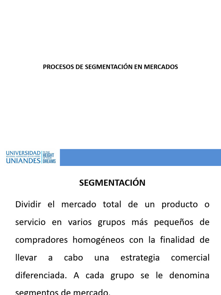 3.1. Segmentación de Mercados | PDF | Marketing | Producto (Negocio)