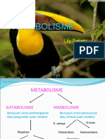 Katabolisme