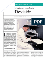 Revisión: Patologías de La Próstata