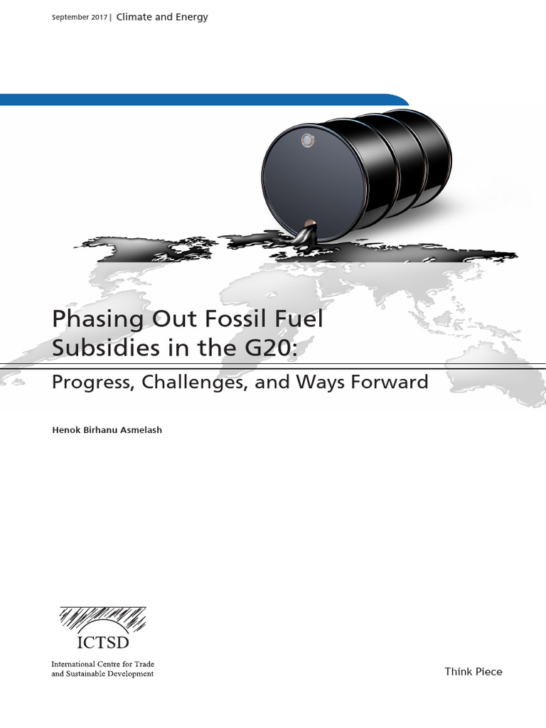 Phasing Out Fossil Fuel Subsidies in The G20 - Progress, Challenges ...