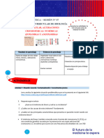 Guía Práctica Sem. 7 2024 1