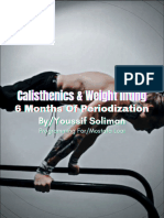 Periodization For 6 Months