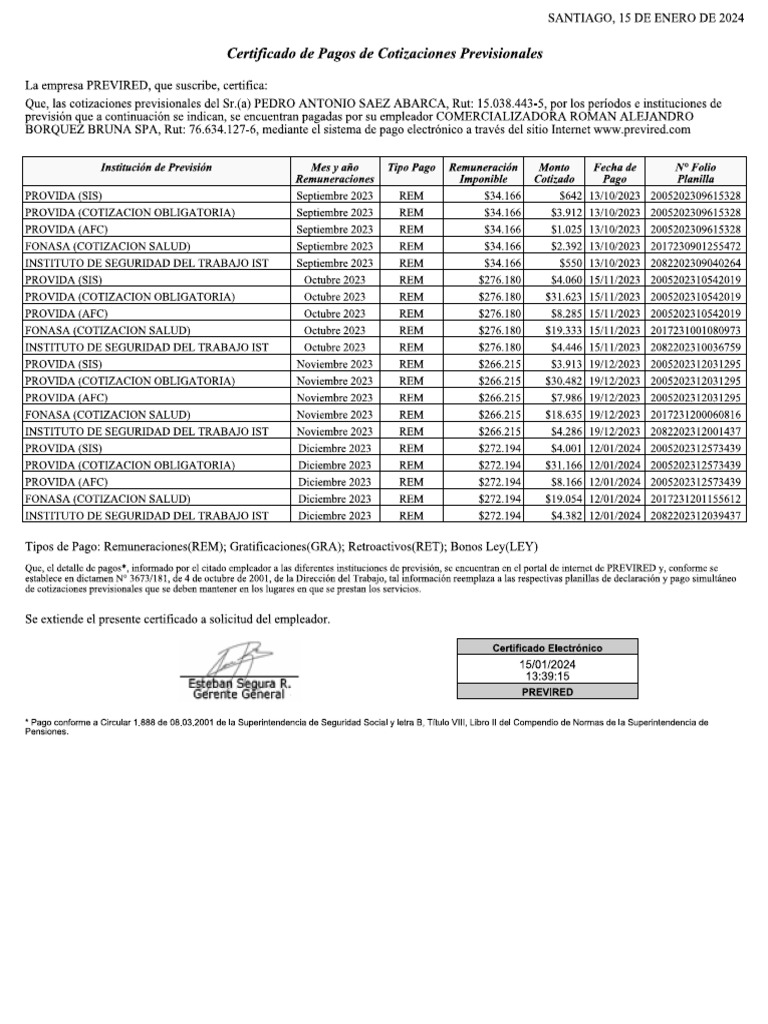 Cotizaciones Pedro Saez | PDF