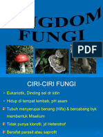 Fungi 1