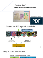 Lecture 4 - (A) Introduction To Protista