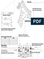 dNA One Pager