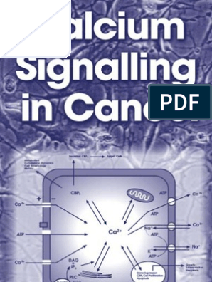 3d Toddler Sex Hentati - Calcium Signalling in Cancer-sh Erbet | Signal Transduction ...