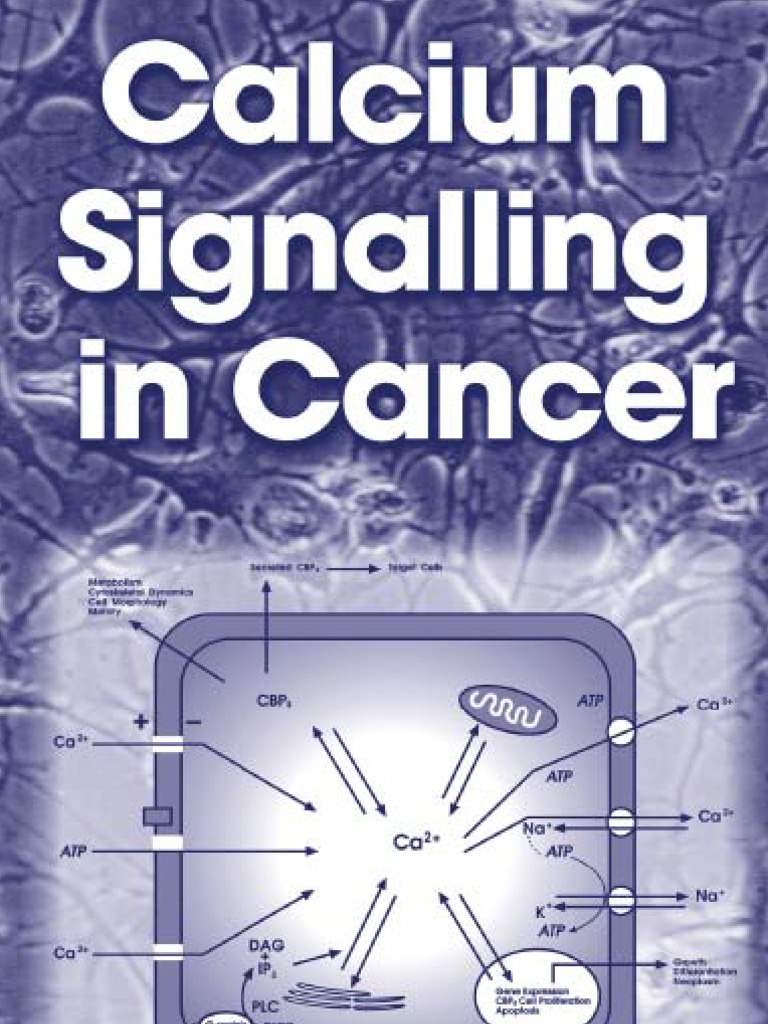 Calcium Signalling in Cancer-Sh Erbet | PDF | Signal Transduction ...